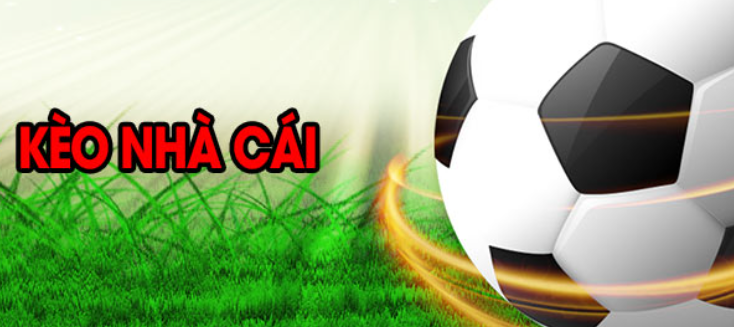 Top 5 mẹo soi kèo nhà cái hôm nay