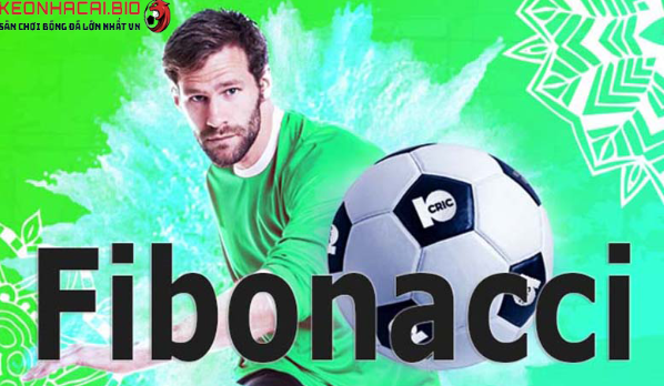Fibonacci là gì tại Keonhacai