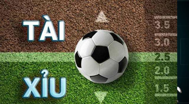 Tìm hiểu về kèo cược thẻ phạt tài xỉu